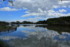 GWの蓮華寺池公園　その１