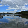 GWの蓮華寺池公園　その１