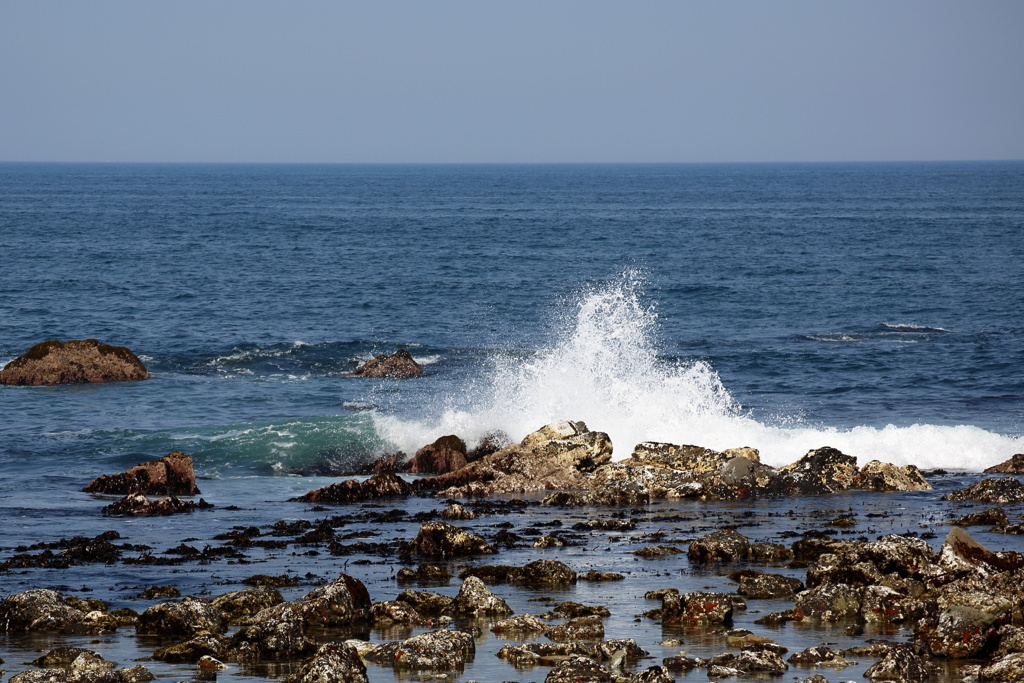 海