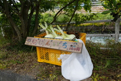 むじんいち