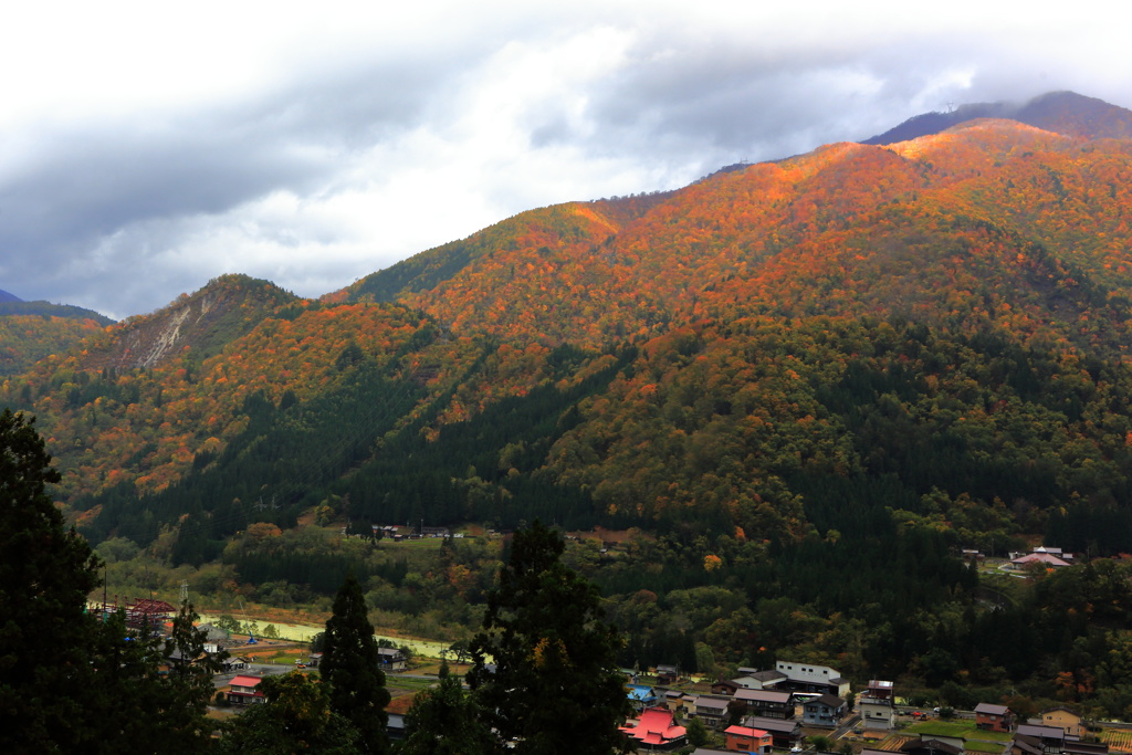 紅葉　その２