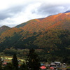 紅葉　その２