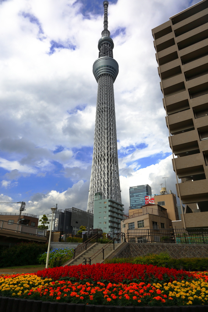 スカイツリーその１