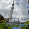 スカイツリーその２