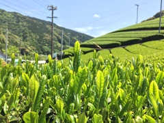 順番待ち
