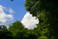 夏間近