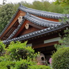 京都小旅行　鈴虫寺
