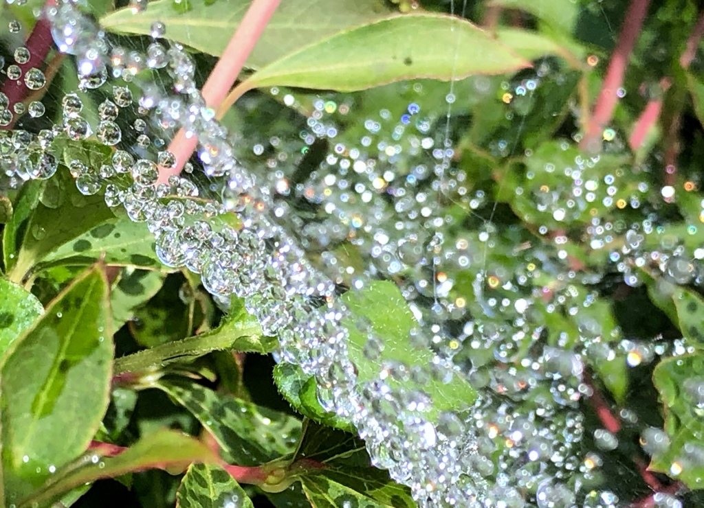 梅雨入り