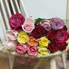 IMG20250128203858