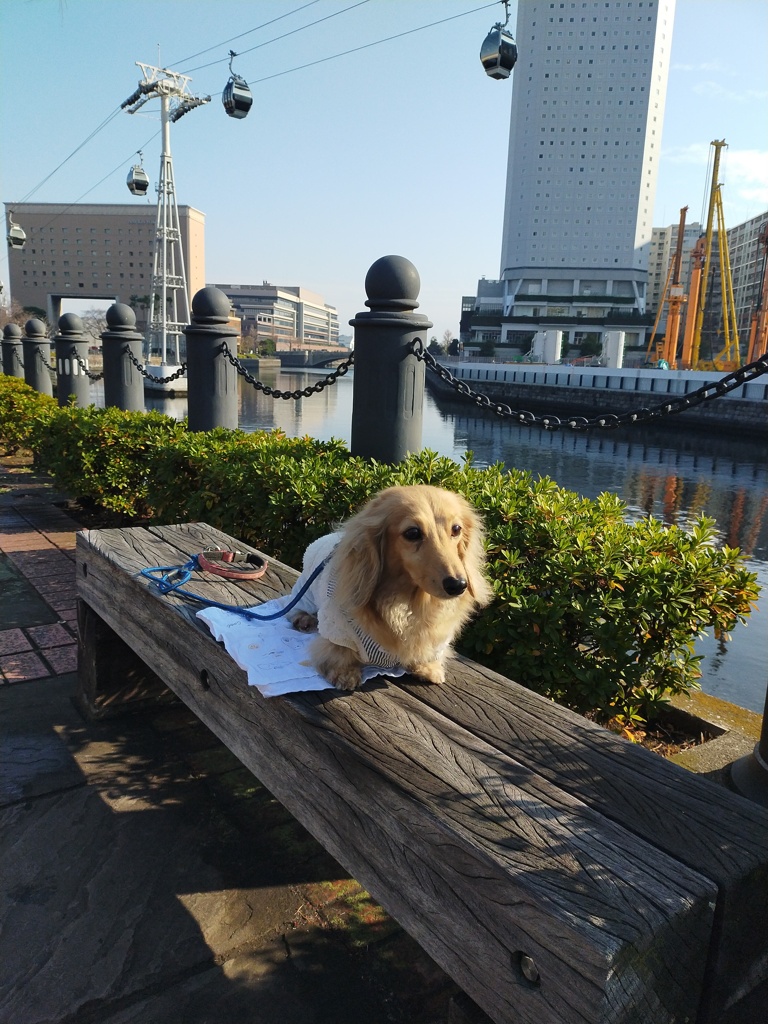 大晦日のおでかけ