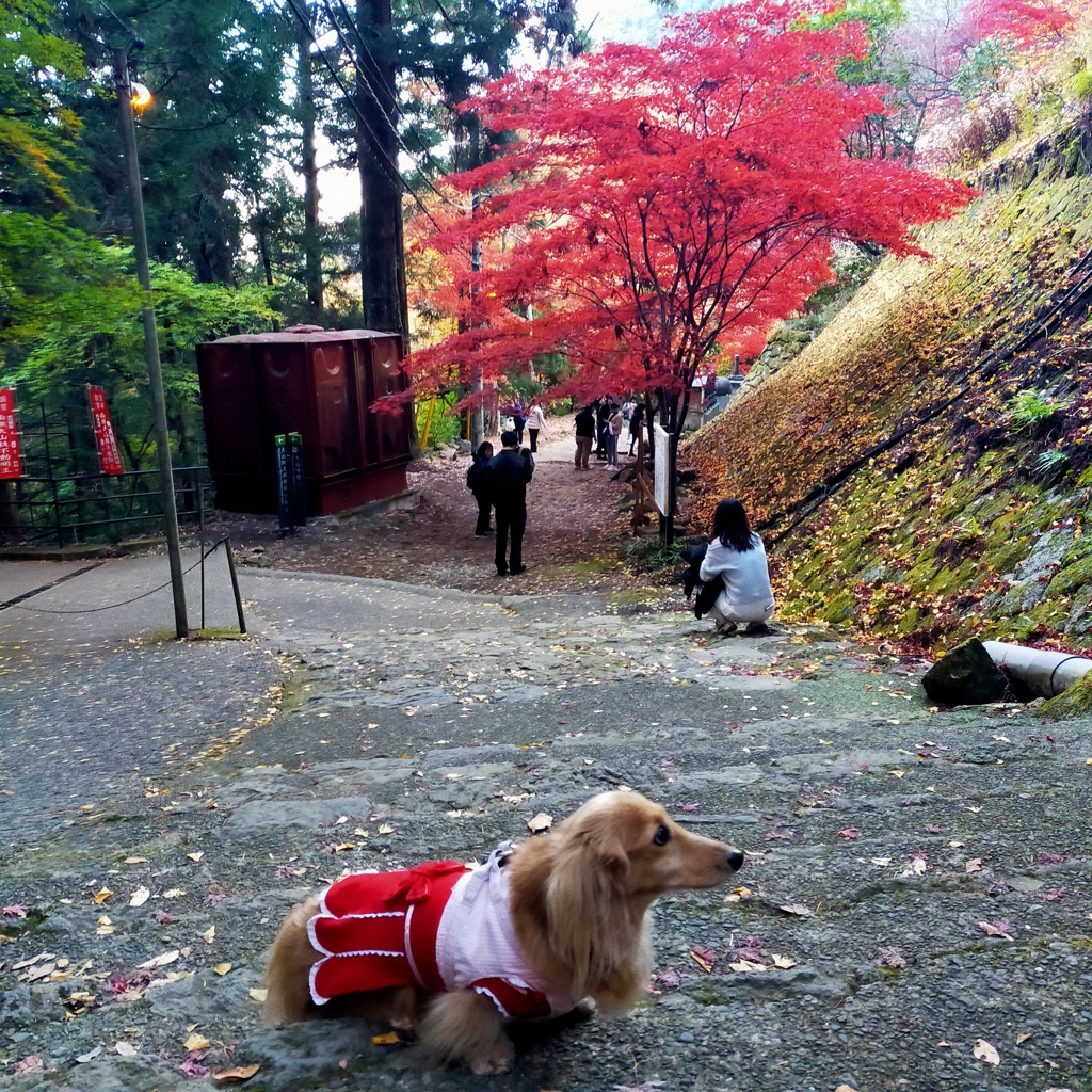 女坂途中で休憩