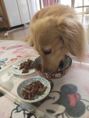 3つのお皿どれから食べる？