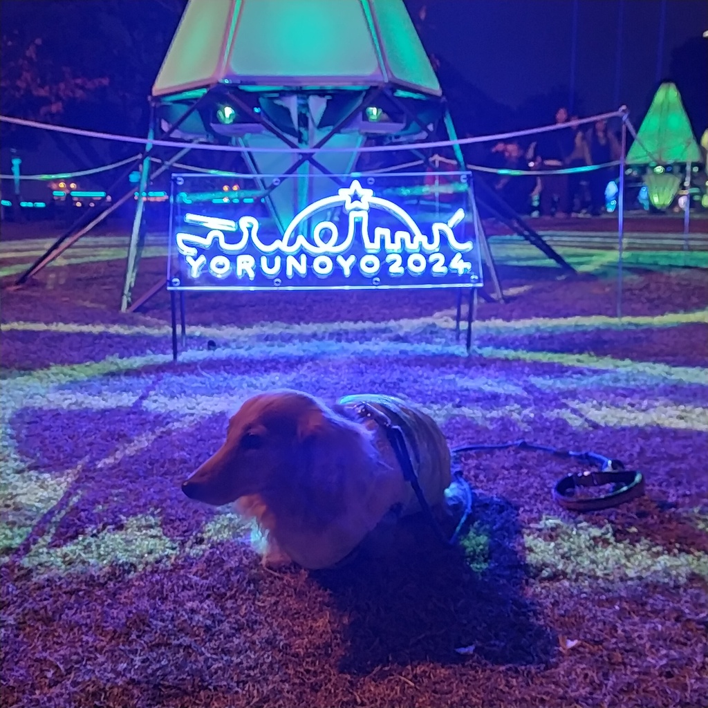 横浜ヨルノヨ山下公園