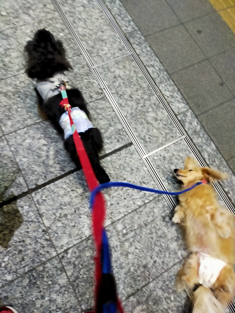 ミラちゃ～ん、気持ちよさそうだねぇ。