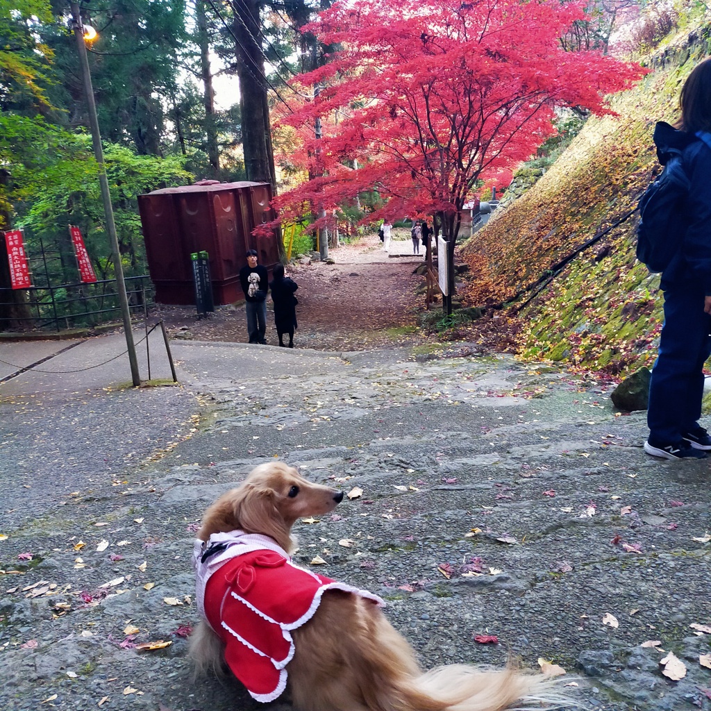 女坂途中で休憩
