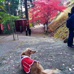 女坂途中で休憩