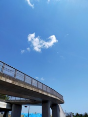 晴天の横浜　海の見える公園の空に、あっ、なんだかモニカに見える