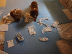 だれがやった？みんなでやった？