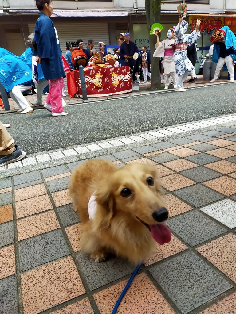 お祭り神輿