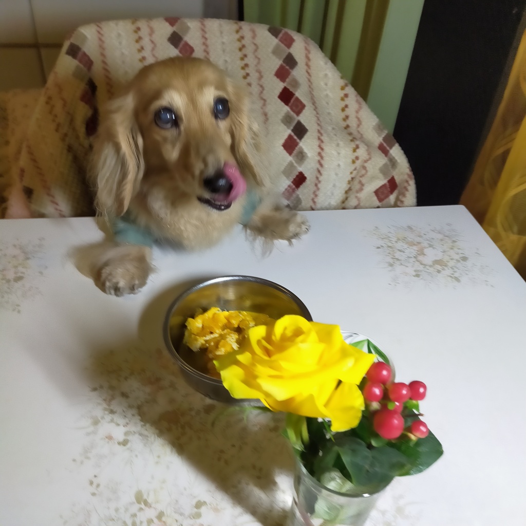 14歳おめでとう早く食べたいな