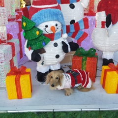 15のお誕生日はクリスマスマーケット