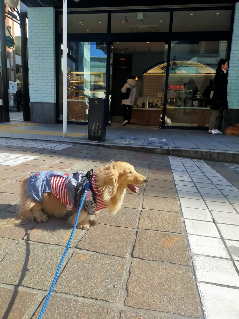 元町さんぽ綺麗な道だね