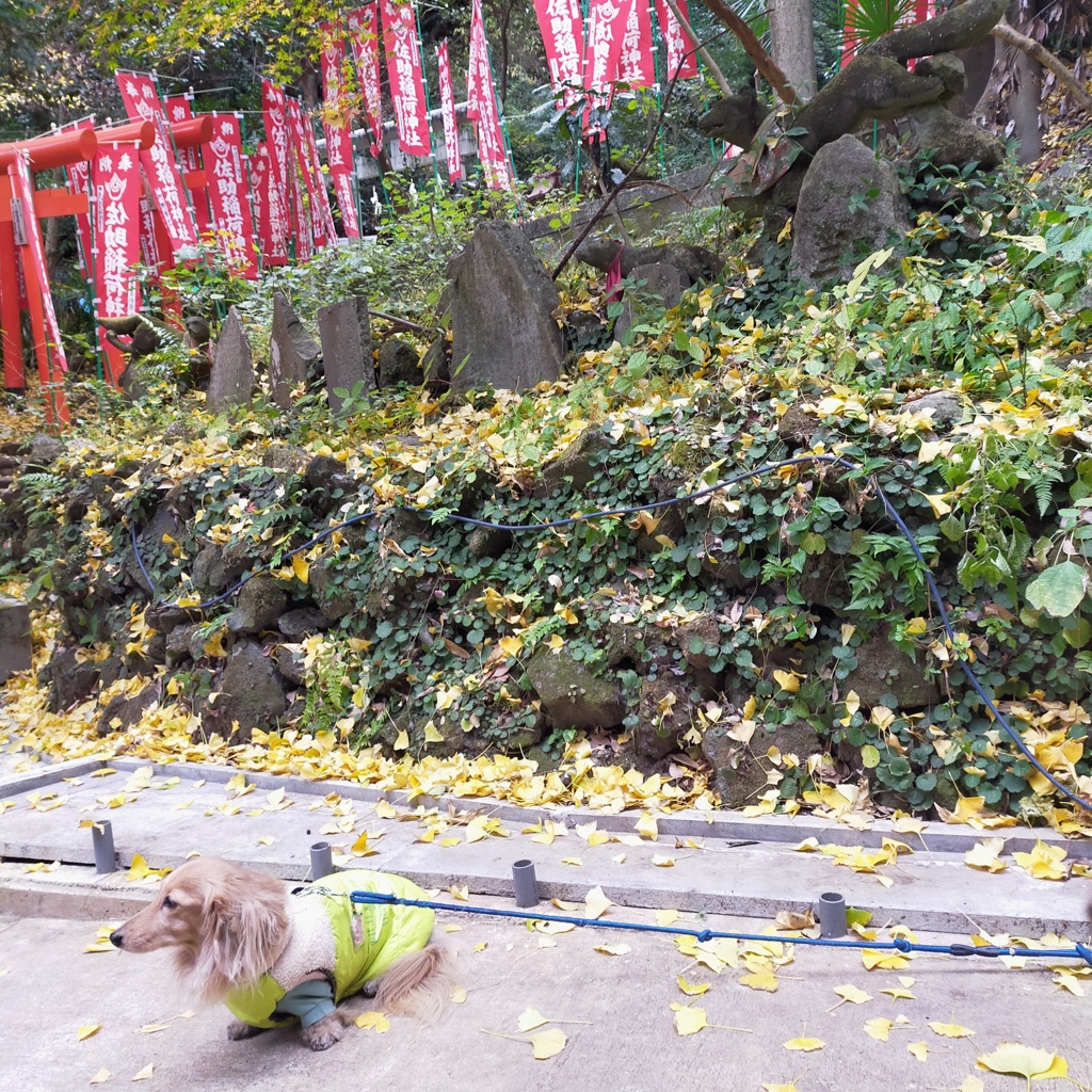 佐助稲荷神社の境内