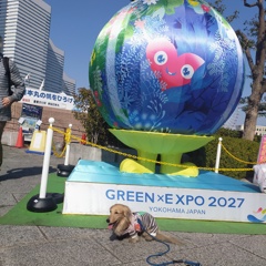 GREEN　EXPO　2027