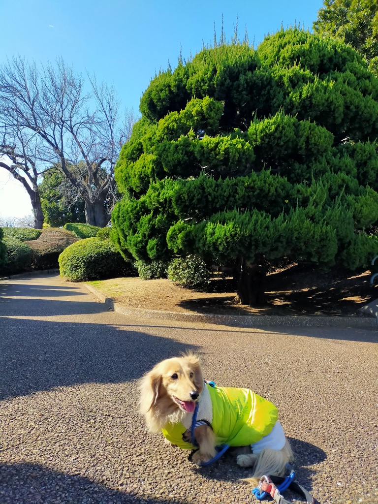 大佛次郎記念館庭園