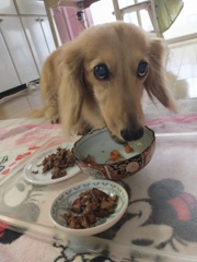 一皿目が終わりそうなミラちゃん