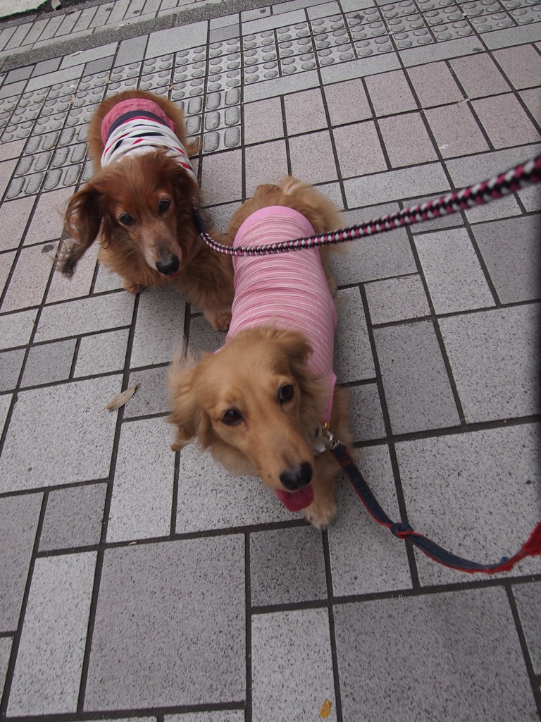 帰り道はこのペアで