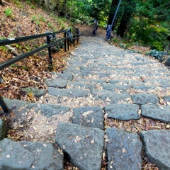 帰りは女坂を下りる