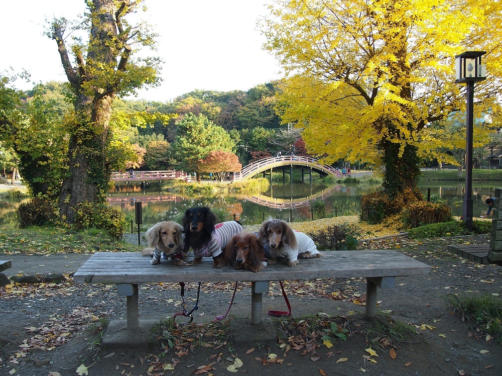 称名寺境内の紅葉