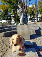 スタジアム公園の龍とミラちゃん