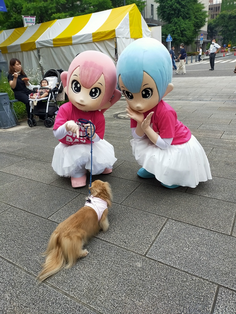 何をお話してるのかな、楽しそうだね