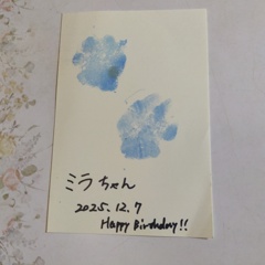 クリスマスマーケットのブースでミラちゃんの足形取ったよ