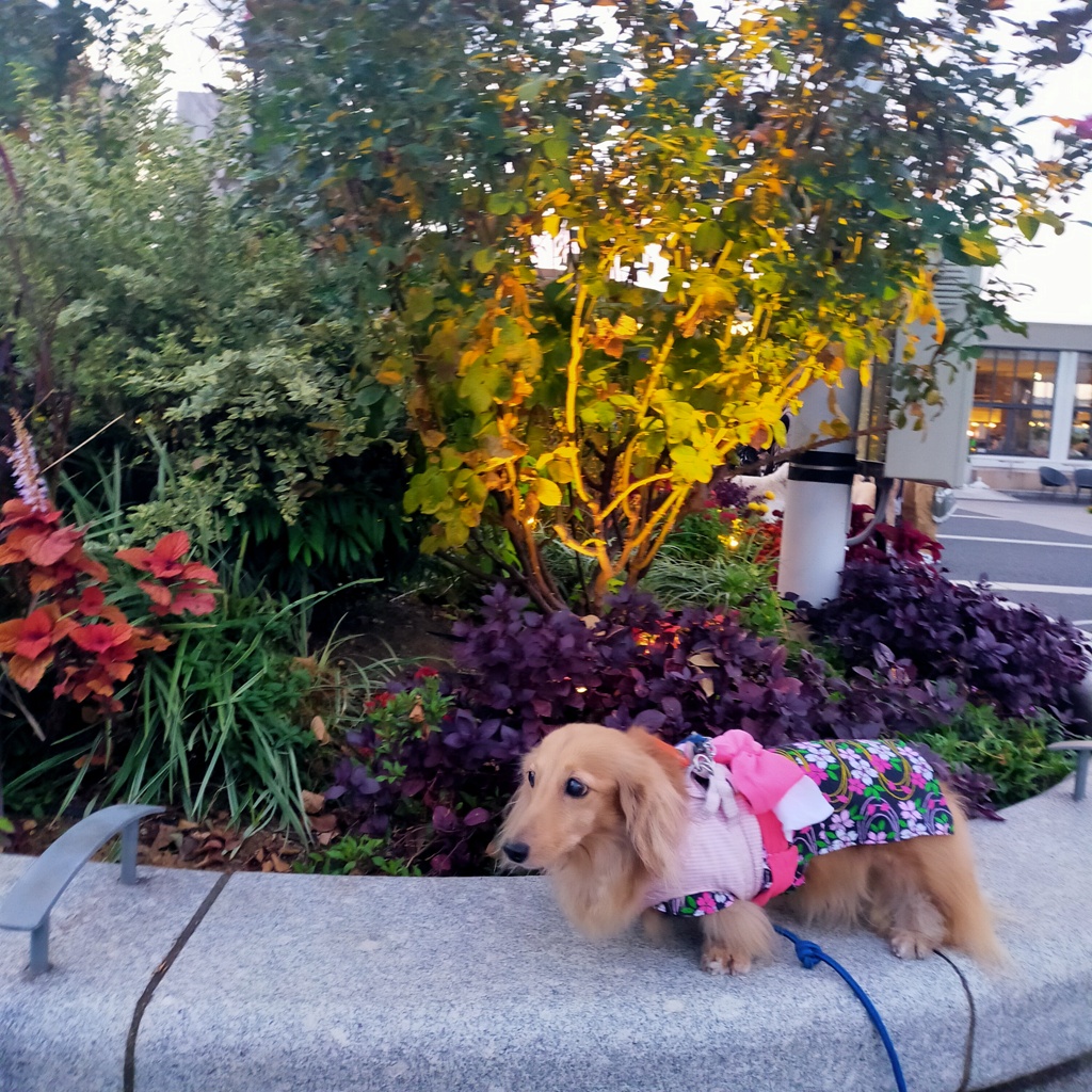 横浜スタジアム