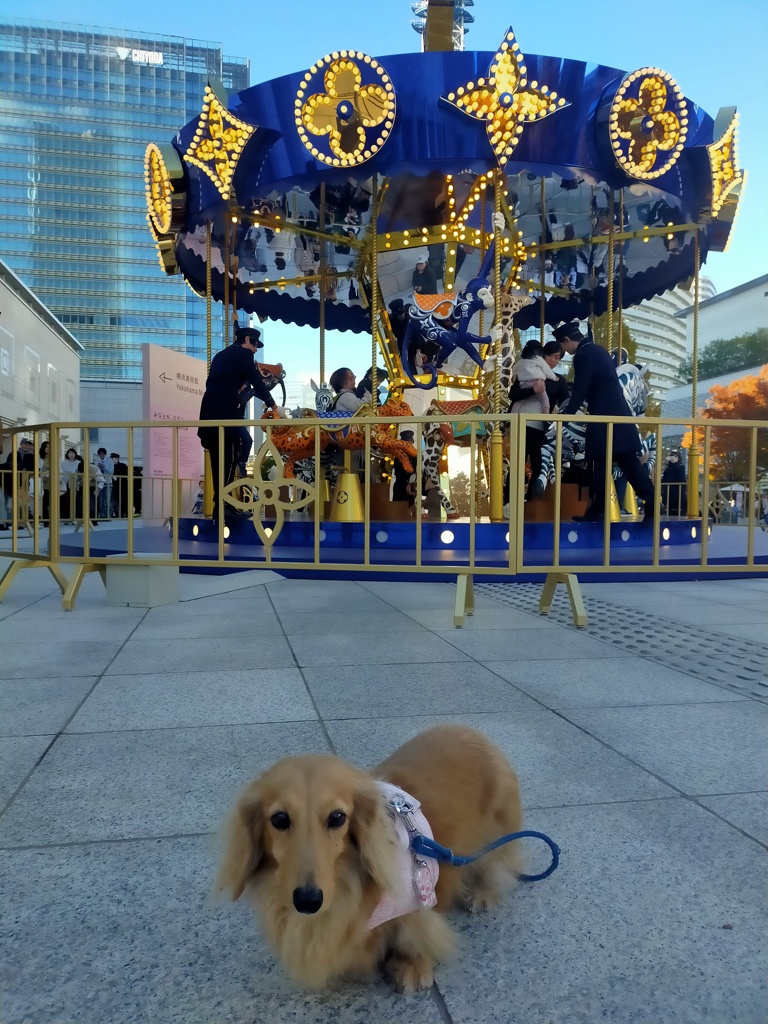横浜美術館前のルイビトン回転木馬