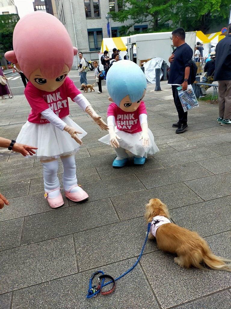 こっちにおいでよ　誘われるミラちゃん