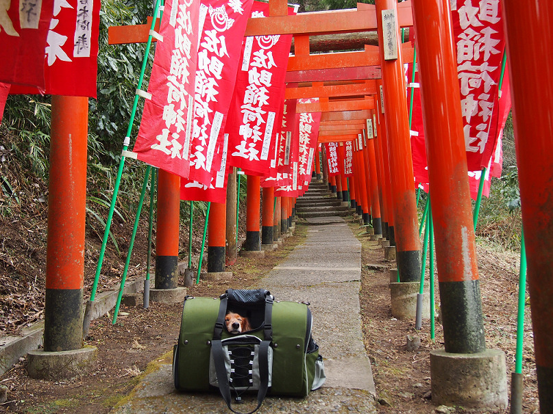 佐助稲荷神社