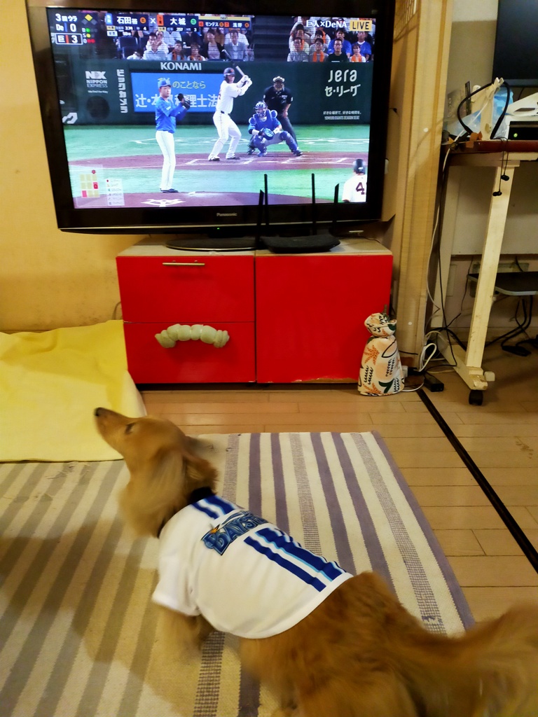 ユニフォーム似合うねミラちゃん
