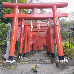 佐助稲荷神社の鳥居前