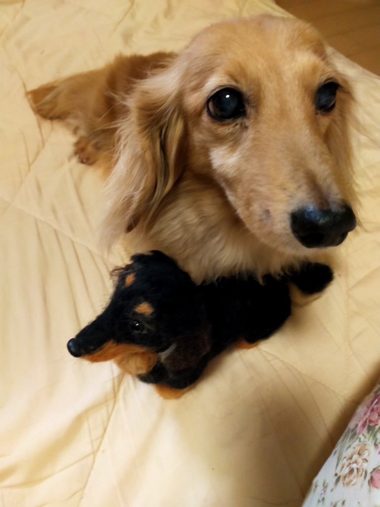 羊毛フェルトで生まれたアローちゃん
