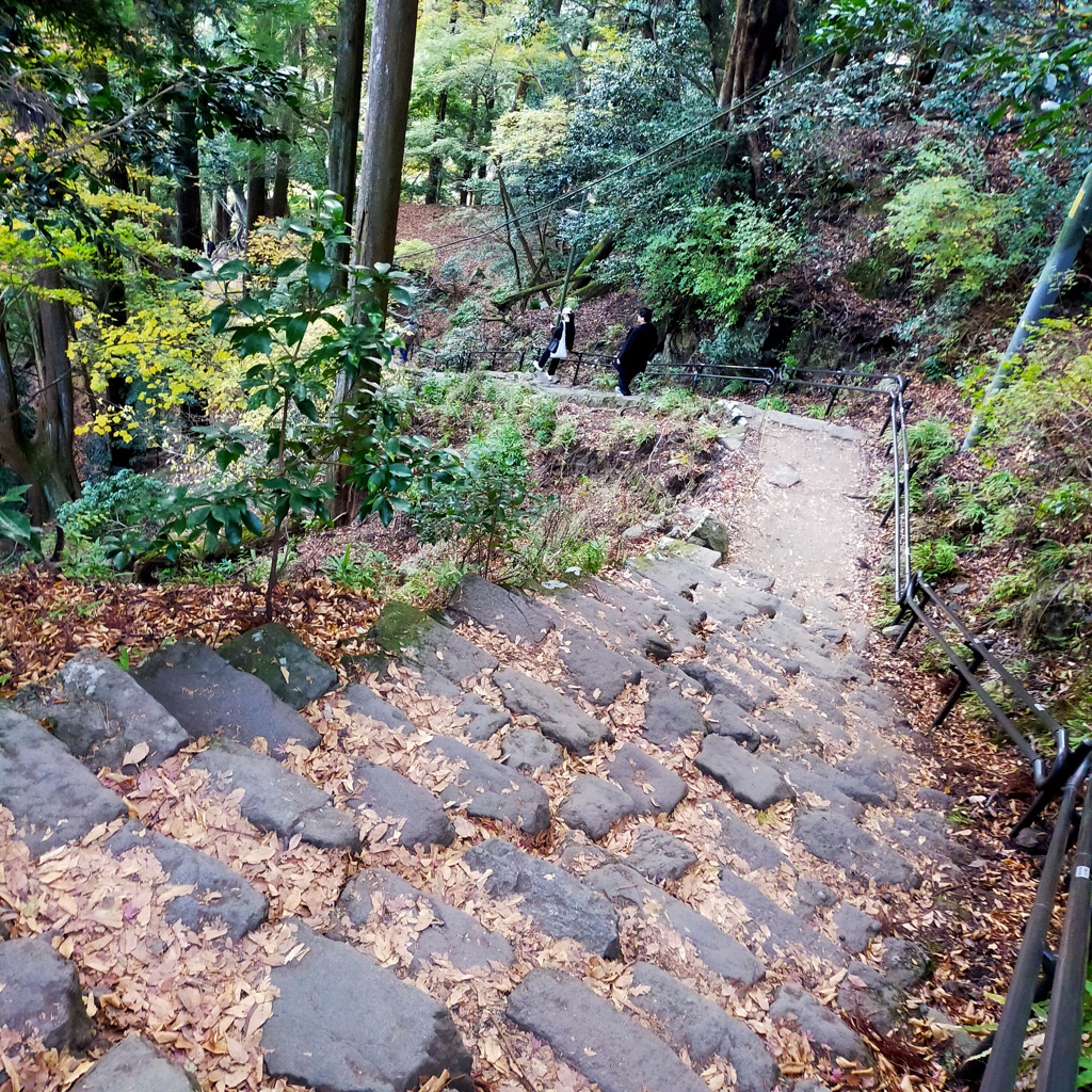 まだまだ続く女坂