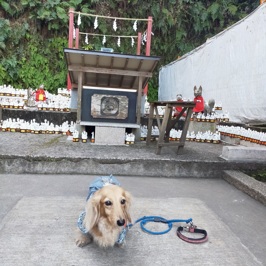 拝殿の裏手にある本殿前のミラちゃん