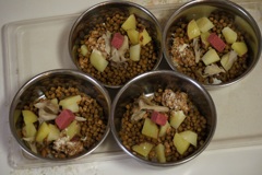 フィラリアの薬