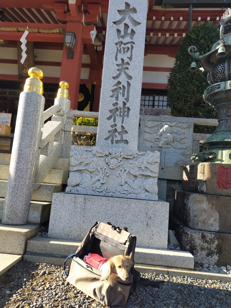 大山阿夫利神社に到着