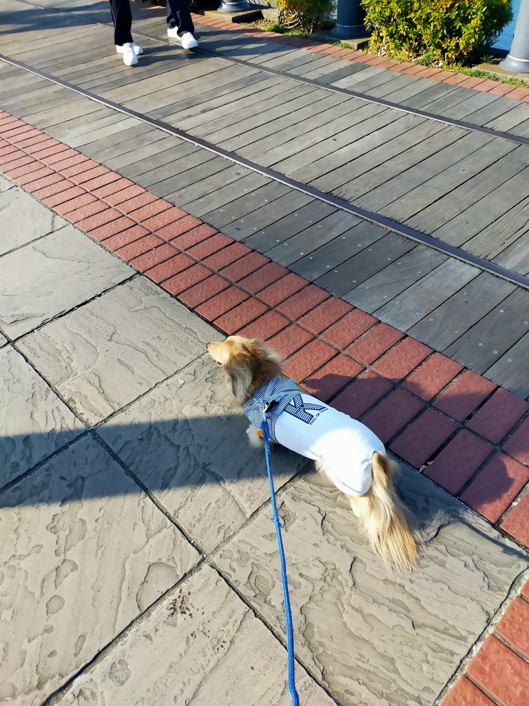 大晦日の汽車道さんぽ