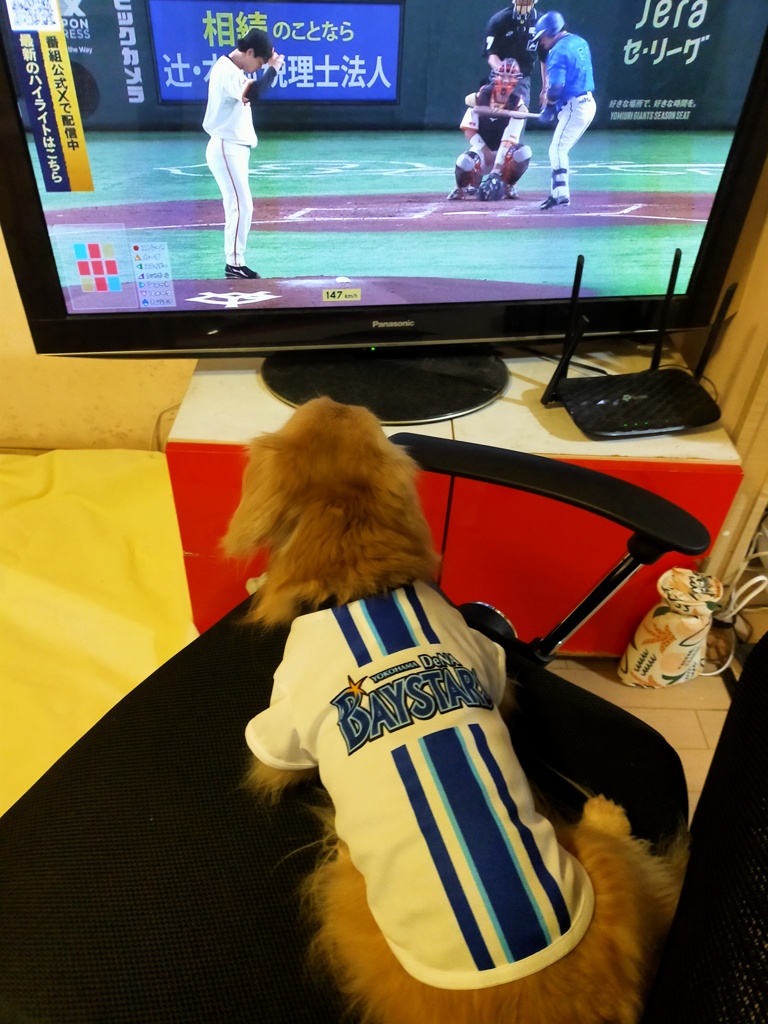 ユニフォーム着て応援中
