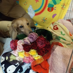 IMG20250128204236
